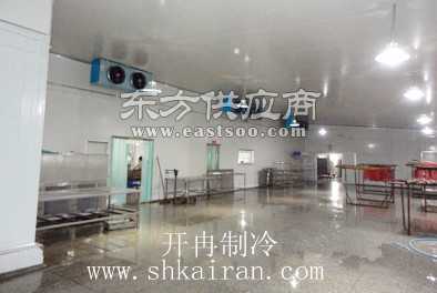 大型海鮮冷凍冷庫工程造價預算與建筑安裝工程解析